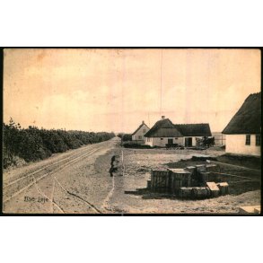 Lise leje - Albert Jensens Bogh. 8003 - Brugt