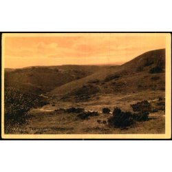 Rebild Nationalpark - Sk�rping Bogh. 1406 - Ubrugt