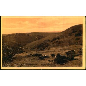 Rebild Nationalpark - Sk�rping Bogh. 1406 - Ubrugt