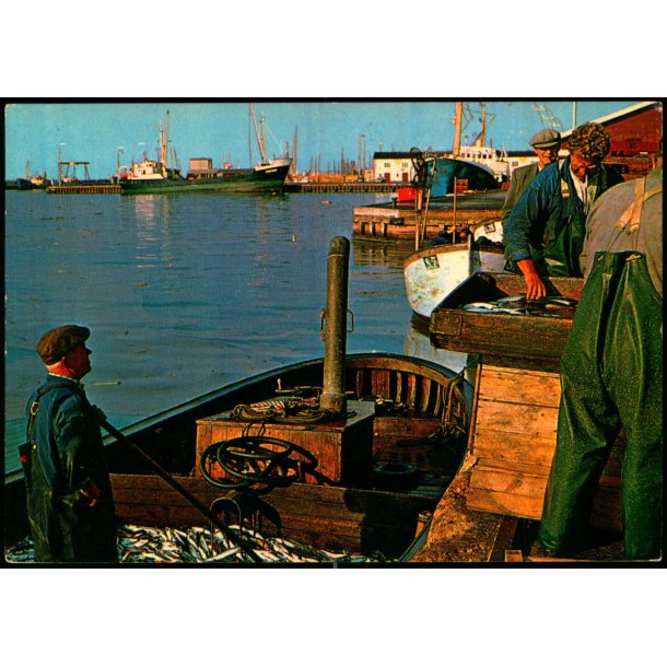 Skagen -  Havneparti  - Gr�sb�lls  7023 - Ubrugt