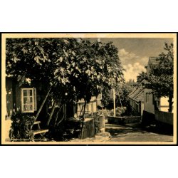 Figentret i Gudhjem - Colbergs Bogh. 855 - Ubrugt