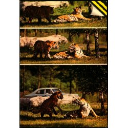 Knuthenborg Safari Park - Top Card KN 4 - Brugt