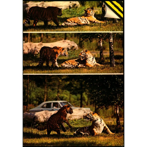 Knuthenborg Safari Park - Top Card KN 4 - Brugt