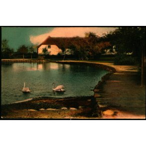 Dammen i Askov - Warborgs Forlag 90 - Ubrugt