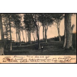 Aarhus - �rnereden  - Petert Alstrup 2363 - Brugt