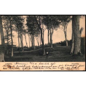 Aarhus - �rnereden  - Petert Alstrup 2363 - Brugt