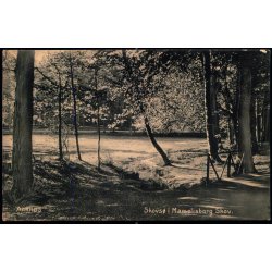 Aarhus - Skovs� i Marselisborg Skov - P.J. 208 - Brugt