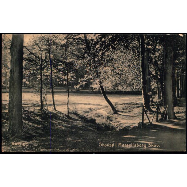 Aarhus - Skovs� i Marselisborg Skov - P.J. 208 - Brugt