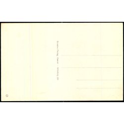 Silkeborg - Kuranstalten Gl. Skovriddergaard -  Stender S. 355 - Ubrugt