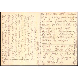 Bornholm - Hammershus Ruiner set fra sydst - Colbergs Bogh. 8226 - Ubrugt