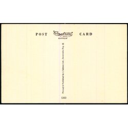 S.S. Southern Cross - Shaw Savill Line - Salmon 5303 - Ubrugt