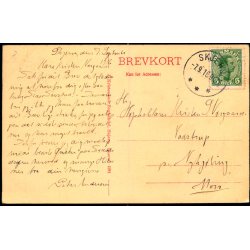 Parti fra Skjern Aa- J. Kristensens Bogh. 4291 - Brugt