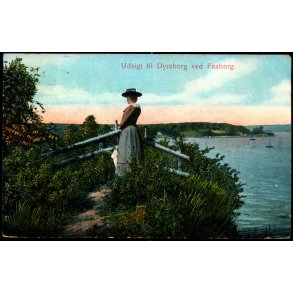 Udsigt til Dyreborg ved Faaborg - Alex Vincent 83 - Brugt