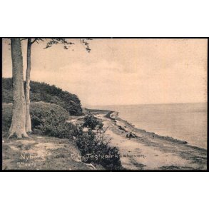 Nyborg - Fra Teglv�rksskoven - H.H.O. 4479 - Ubrugt