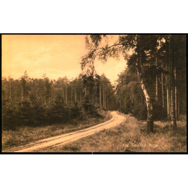 Fra Tisvilde Hegn - A. Jensens Bogh. 43407 - Ubrugt