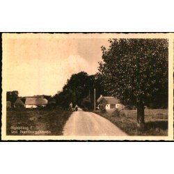 Nyk�bing F. - Ved Hamborgskoven - Stender N. 98 - Ubrugt