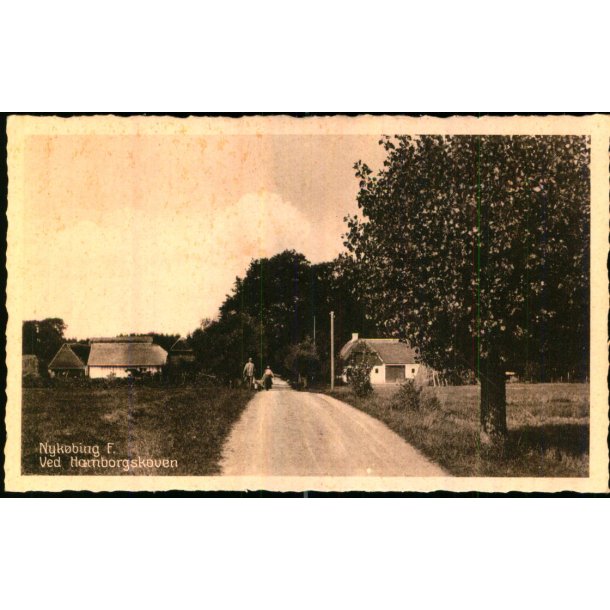 Nyk�bing F. - Ved Hamborgskoven - Stender N. 98 - Ubrugt
