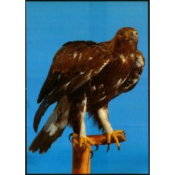 Jagt og Skovbrugsmuseet - Gr�nlund 946 - Ubrugt