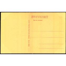 Skagen - Maleren P .S. Kryer - Schjeldes 25806 - Ubrugt