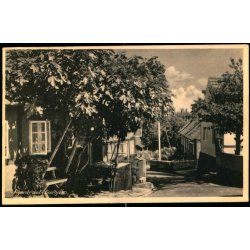 Figentret i Gudhjem - Eneret 855 - Brugt