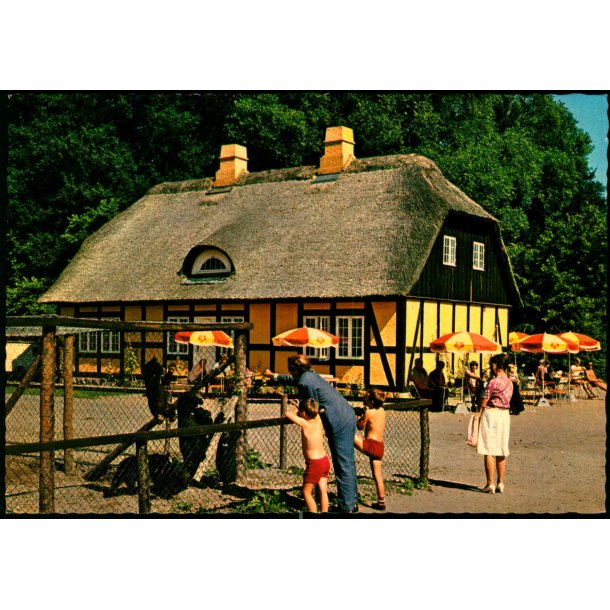 Knuthenborg Safari Park - Lolland - L.F. papirforsyning 143 307 021 - Ubrugt