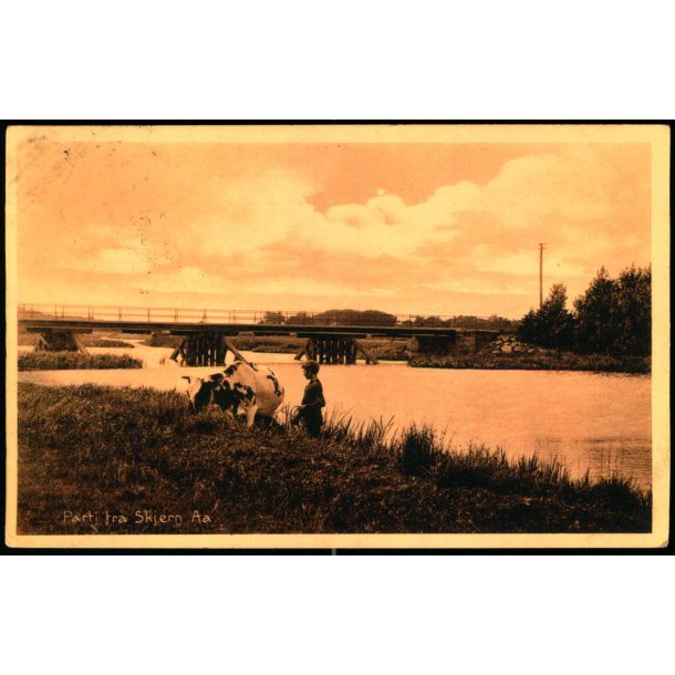 Parti fra Skjern Aa- J. Kristensens Bogh. 4291 - Brugt