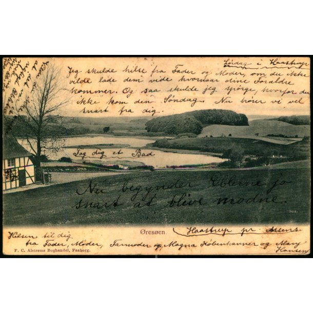 �res�en - F.C. Alstr�ms Bogh. 3212 - Brugt