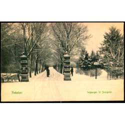 Nakskov - Indgang til Svinglen - Th.�bergs Bogh. u/n - Ubrugt