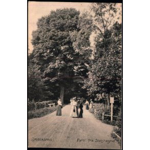 Jgerspris - Parti fra Slotshegnet - Stender 7428 - Brugt