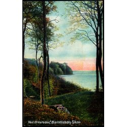 Ved �rnereden  - Marselisborg Skov - Alex Vincent 93 - Ubrugt