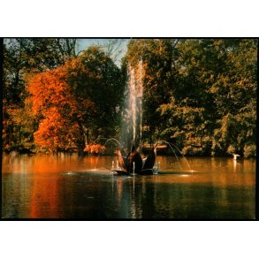 T�nderblomsten i Vid�en - H. Ingwersen 579 - Ubrugt