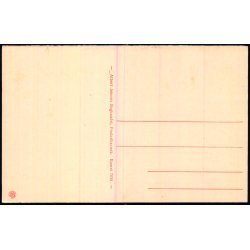 Broen ved Arres�dal - A. Jensens Bogh. 7034 - Ubrugt