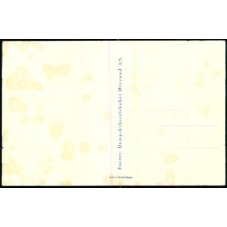 Sankt IBB - Dampskibsselskabet resund u/n - Ubrugt