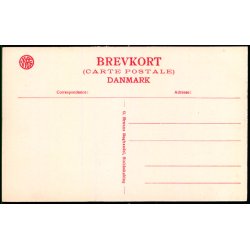 Stubbek�bing - Vestergade - G. Bruuns Bogh. u/n - Ubrugt