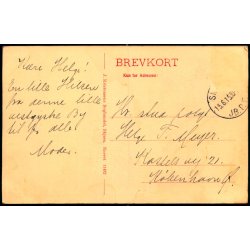 Parti fra Skjern - J. Kristensens Bogh. 11492 - Brugt