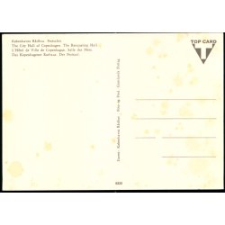 Kbenhavns Rdhus - Festsalen - Grnlund 6222 - Ubrugt                     