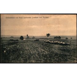 Feldpost - K.D. Feldpostxped.   14 -5 -15 - Til Apenrade - Billedside :  Schlachtfeld von Buzy