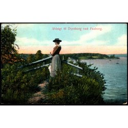 Udsigt til Dyreborg ved Faaborg - Alex Vincent 83 - Brugt