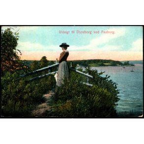 Udsigt til Dyreborg ved Faaborg - Alex Vincent 83 - Brugt