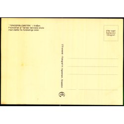 T�nderblomsten i Vid�en - H. Ingwersen 579 - Ubrugt