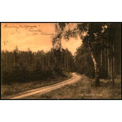 Fra Tisvilde Hegn - A. Jensens Bogh. 43407 - Brugt