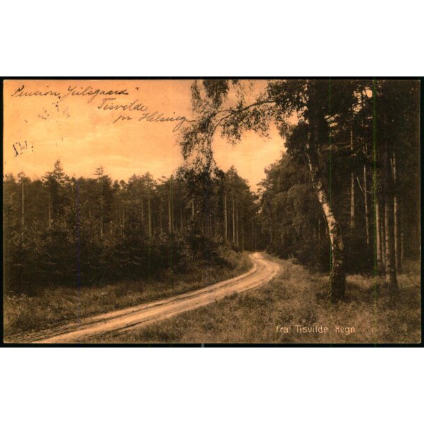 Fra Tisvilde Hegn - A. Jensens Bogh. 43407 - Brugt