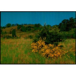 Tibirke Bakker - Trojaborg TI 9 - Ubrugt