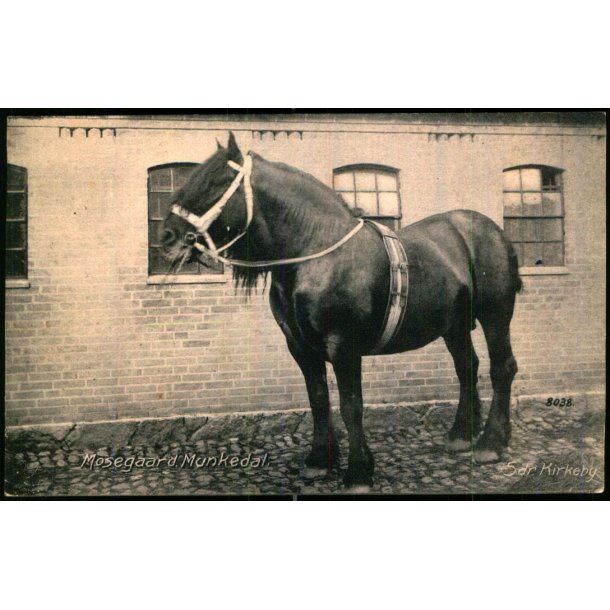 Mosegaard Munkedal - Sdr. Kirkeby  - u/n - Brugt