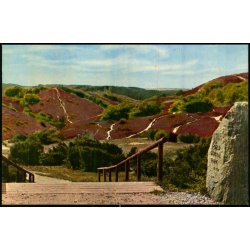 Nedgang til Rebild Nationalpark - Rudolf Olsen 477 - Ubrugt