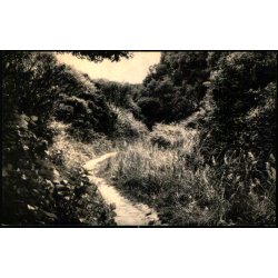 Fossedalen - Skandia - 14039 - Ubrugt