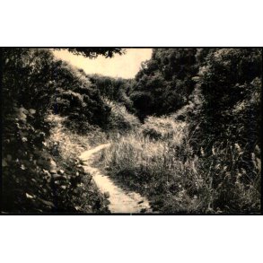 Fossedalen - Skandia - 14039 - Ubrugt