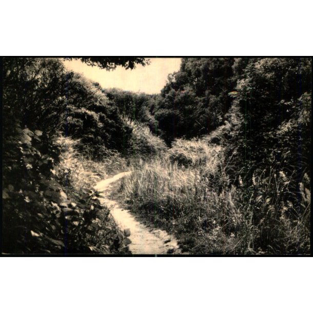 Fossedalen - Skandia - 14039 - Ubrugt