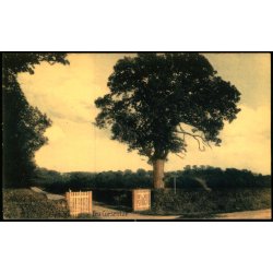 Fra Corselitze -  V. Kristoffersen 17764 - Ubrugt