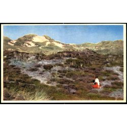 Klitparti - S�ndervig - Nr. 4 - Ubrugt